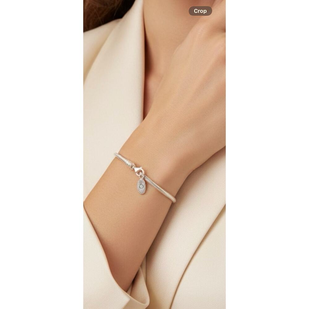 Pandora Sterling Silver Snake Chain Charm Bracelet 925 ALE Sz 7